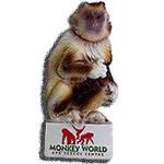 MAGNET CAPUCHIN MONKEY